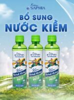 Kiềm Thánh Gióng